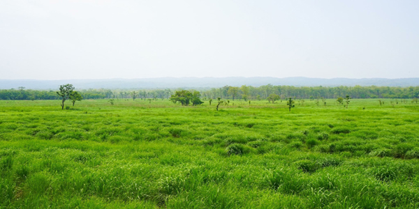 bhase maidan